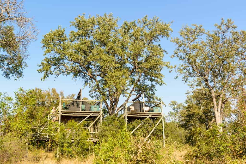 Raised tented decks for sleeping out under the stars. An arranged activity for 1 night from Plains Camp