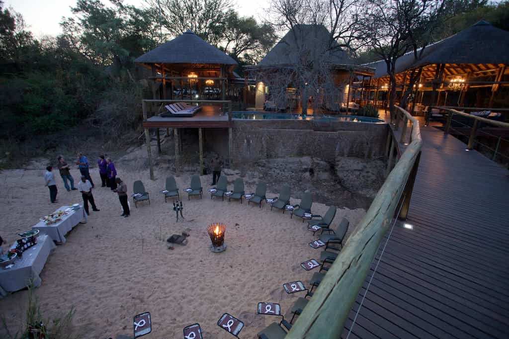 Boma Nights
