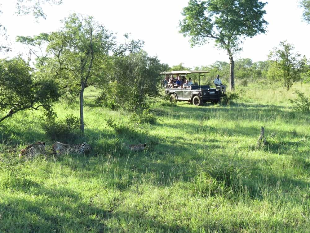 Each tent has a  private deck where you can sit on your safari chair, sip a drink of your choice while gazing at the stars or watching the animals pass by as they roam through the unfenced camp.