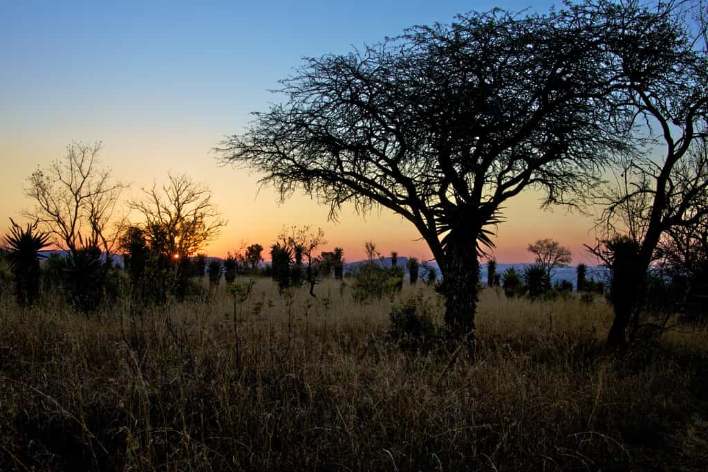 Beautiful sunsets