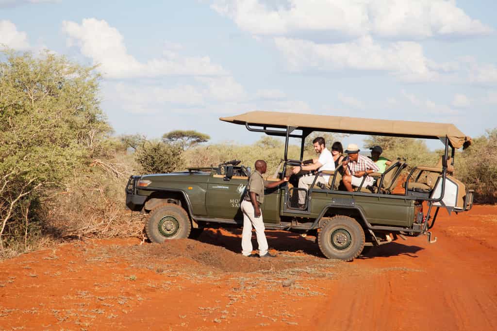 Enjoy game drives with our experienced Game Rangers 
