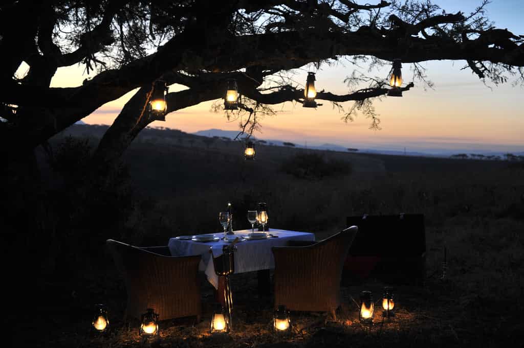 Bush Dinner 