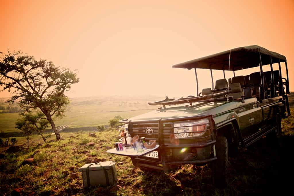Game Drive 