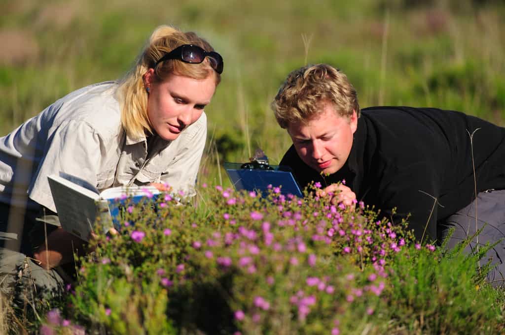 Gap Year Volunteers