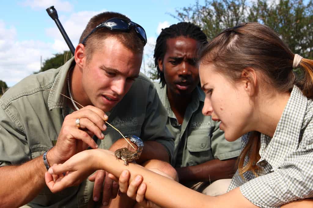 Field Guide Training