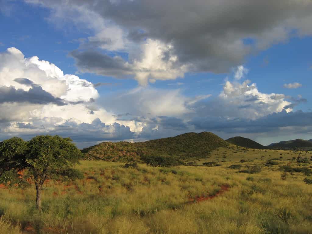 Summer storms