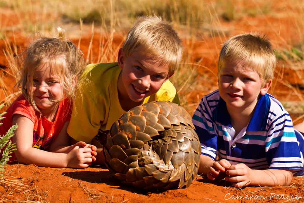 Tarkuni is a wonderful family venue