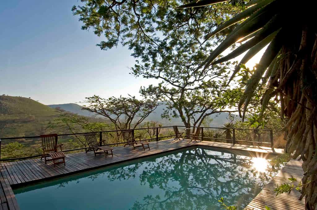Secluded site for swimming pool under large Acacia tree