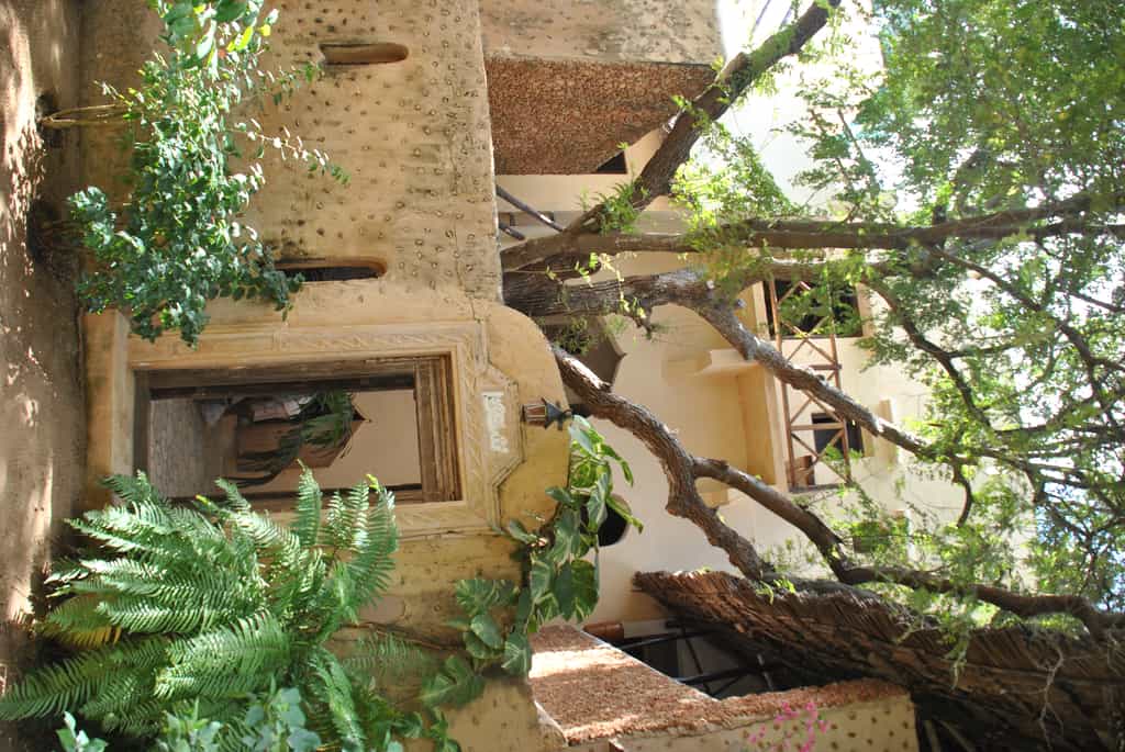 Interior court yard