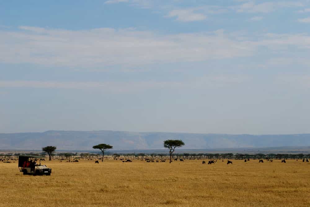 Alone on the plains of the Lamai