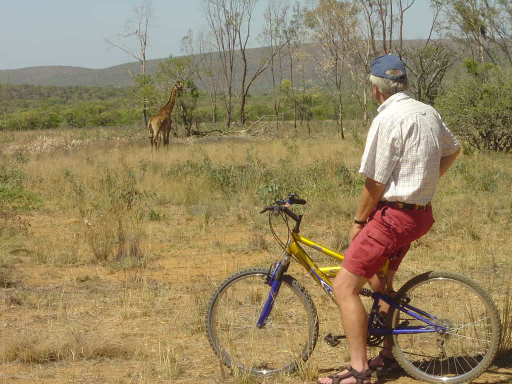 Classified as a safe game reserve it means that no dangerous animals reside on the reserve and guests are free to explore the many walking trails (from 2 - 15 km), either on foot or by mountain bike, at no extra cost. Spend hours identifying the flora and fauna in the reserve, surrounded only by the sounds and sights of nature. 