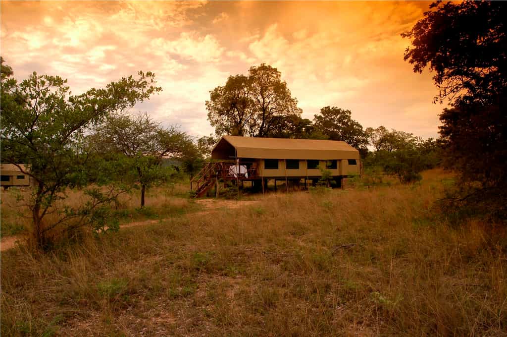 View of tent