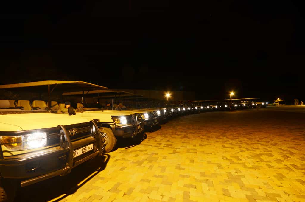 Game Drive Night