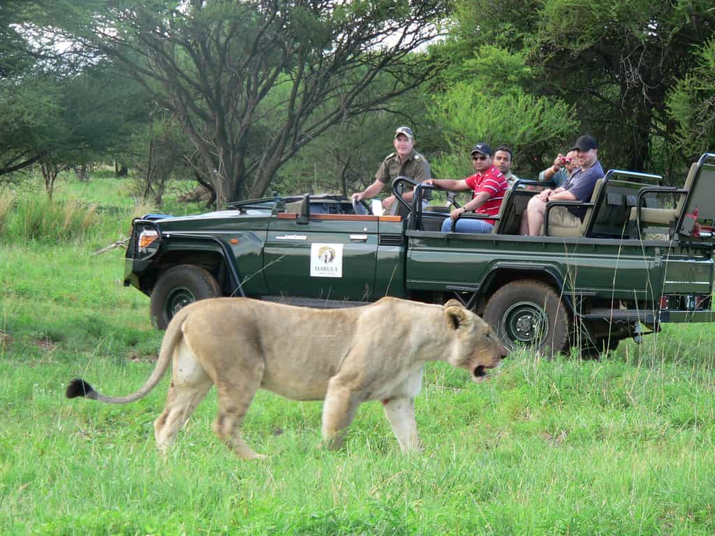 Enjoy viewing the Big 5 !