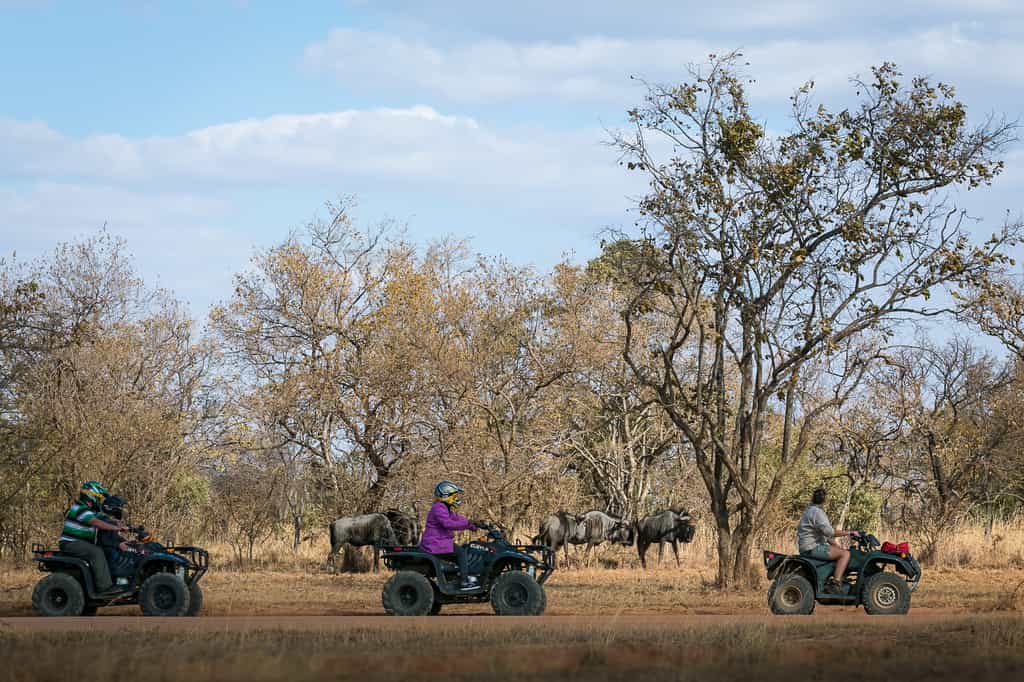 Protea Zebula Lodge is a stunning and unique lifestyle destination where guests can expect spectacular, well-appointed accommodation and legendary friendly service and hospitality. 