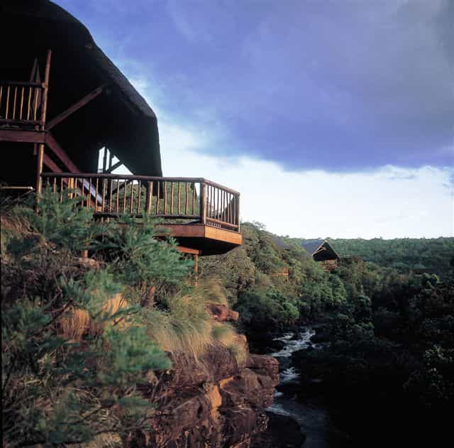 Leopard Tent views