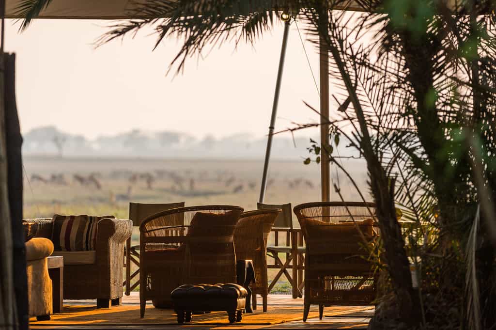 Busanga views