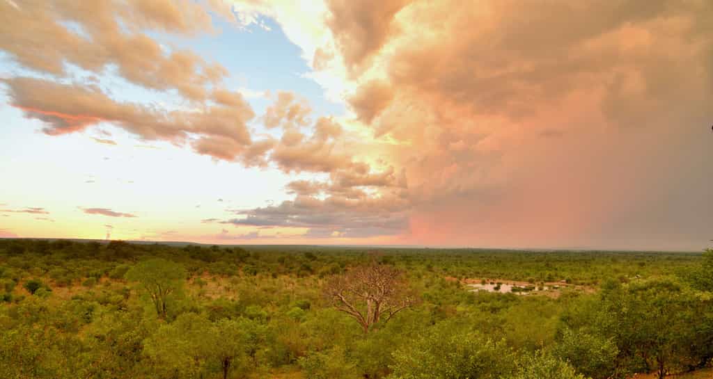 Seen from the Victoria Falls Safari Lodge