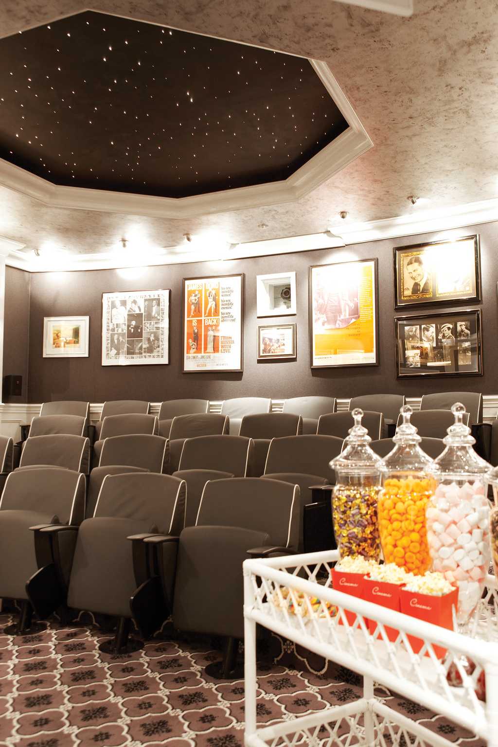 24 Seater CInema 