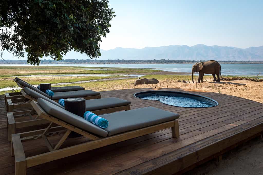 Plunge pool with a view