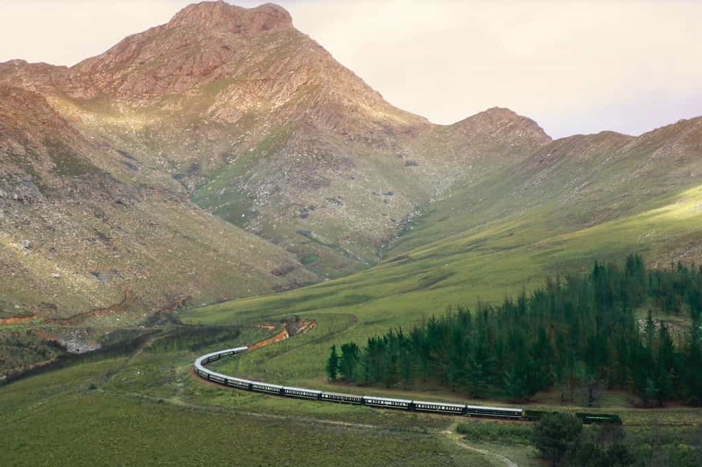The beautiful Karoo and Garden Route on the annual African Collage journey