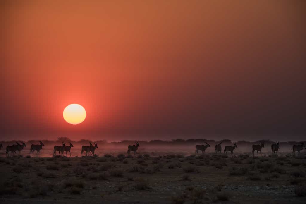 A typical way to end of your day at Safarihoek Lodge