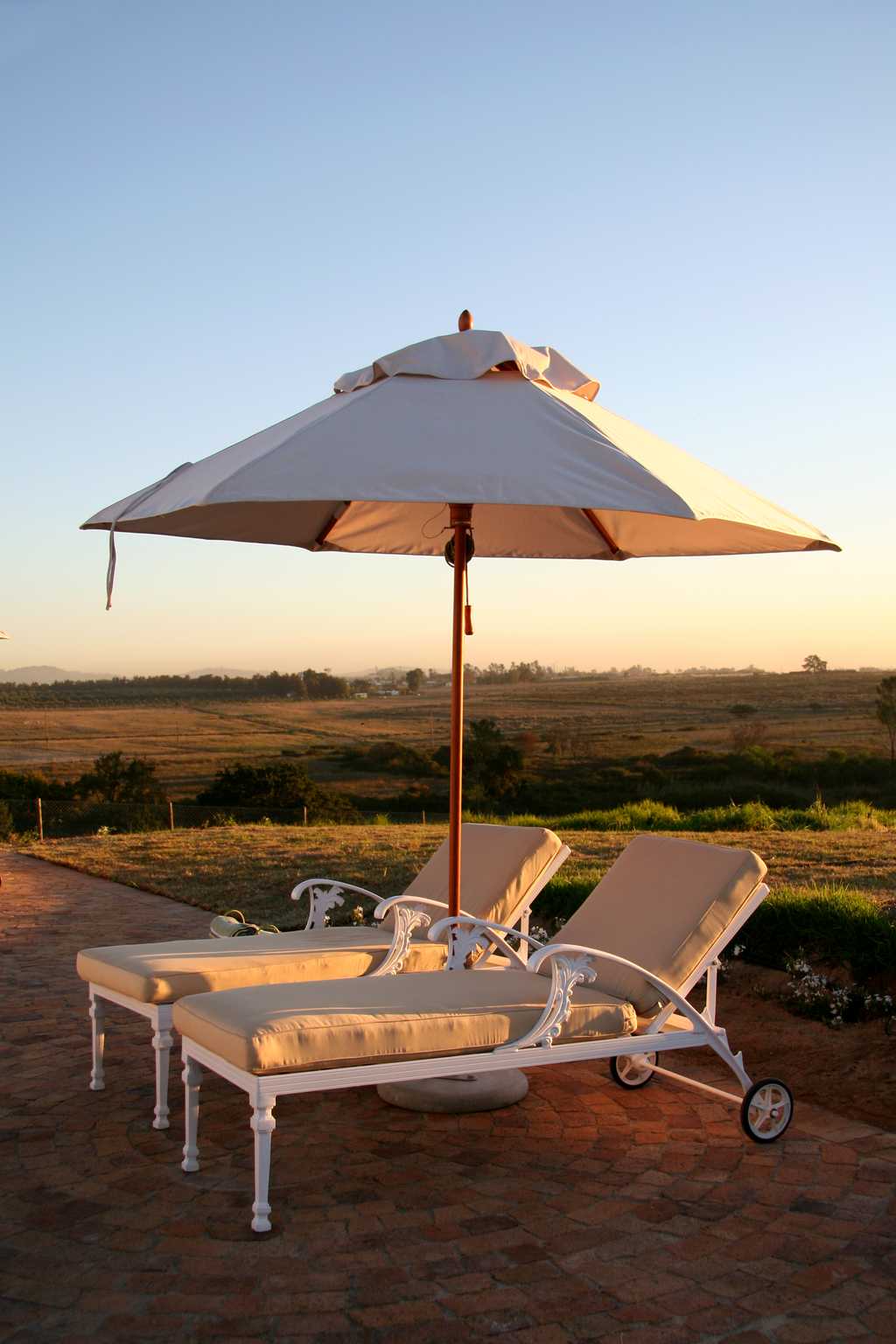 Sun loungers at the pool 