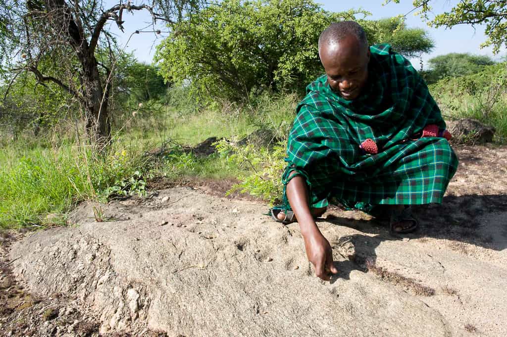 Mbugwe walking guide