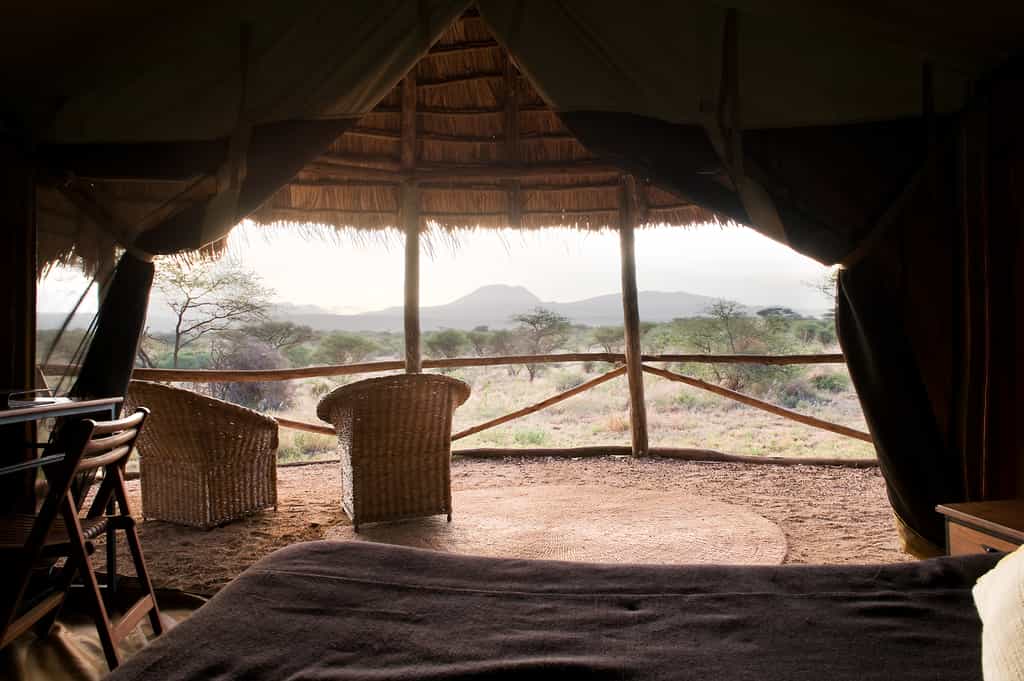 View from inside the tent