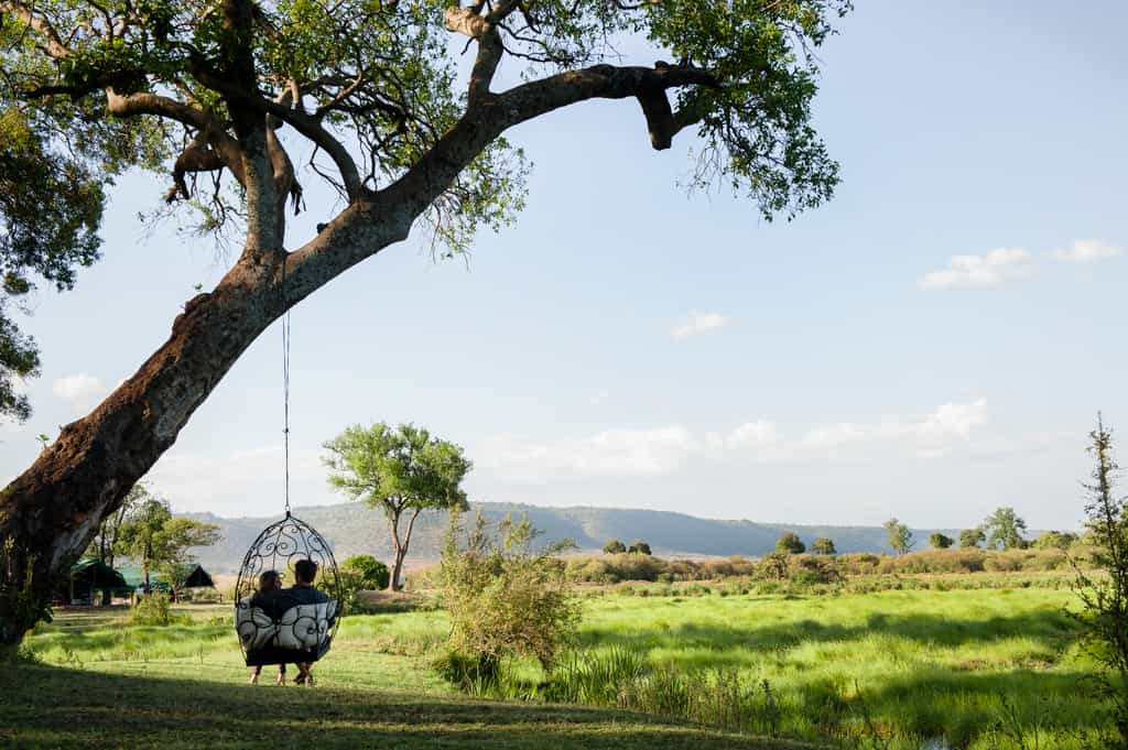 Swing chair overlooking the Marsh 