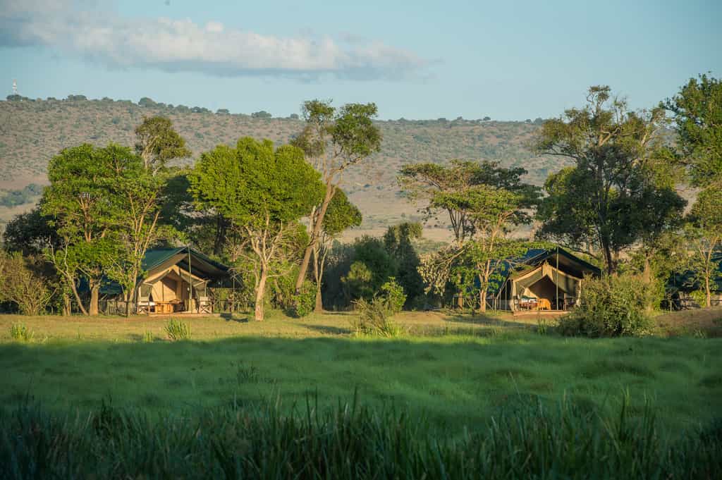 Guest tents Little Governors Camp 