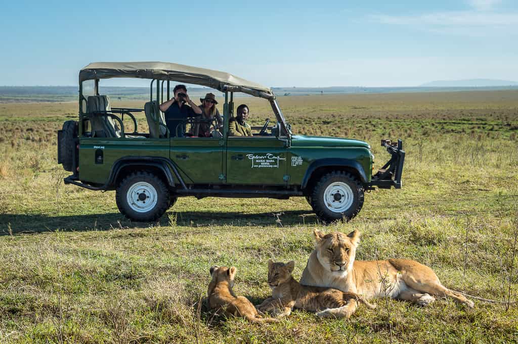 On a game drive from Little Governors Camp 