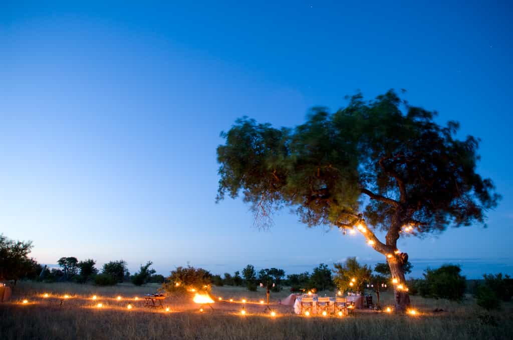 Ngala Safari Lodge Bush Dinner