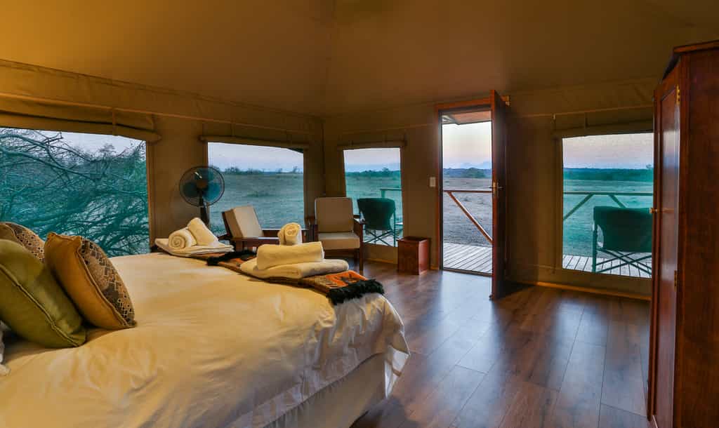 Safari Tent interior double setup 