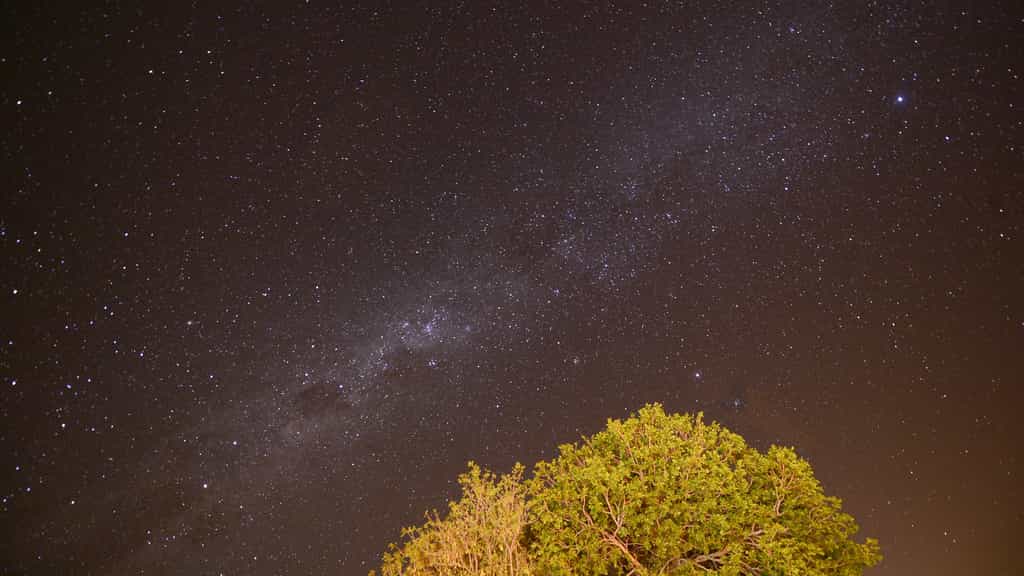 Stary sky