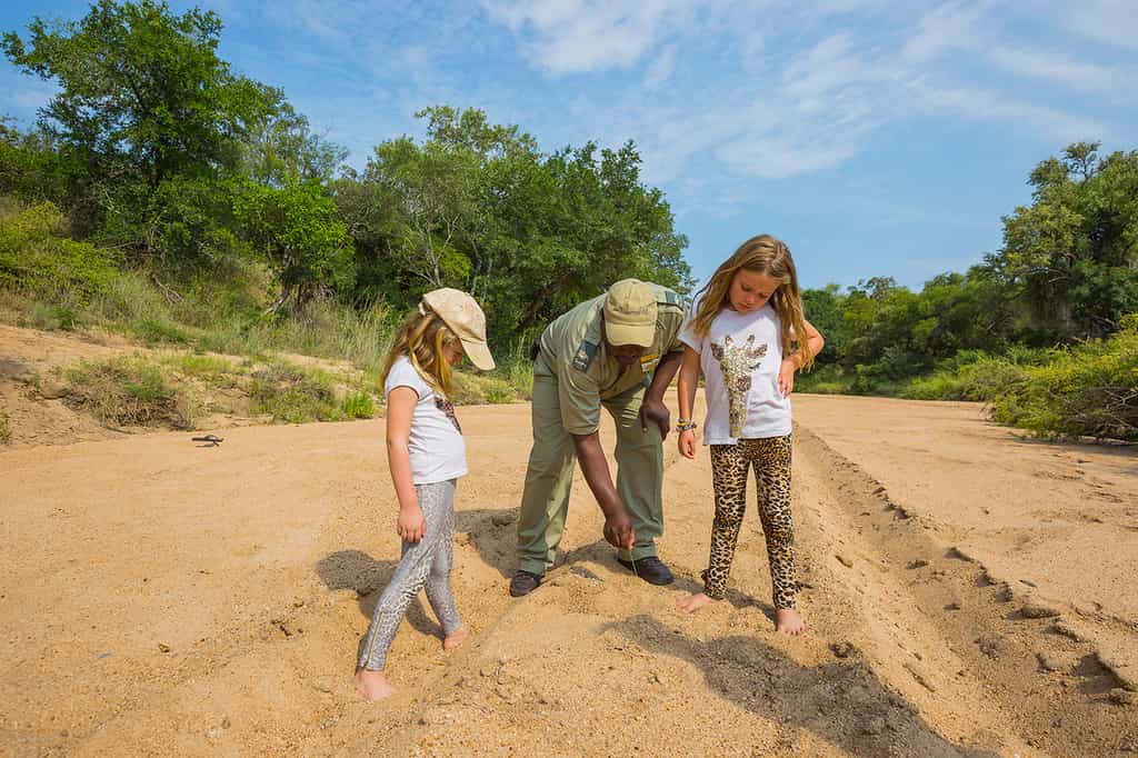 Children's Activities