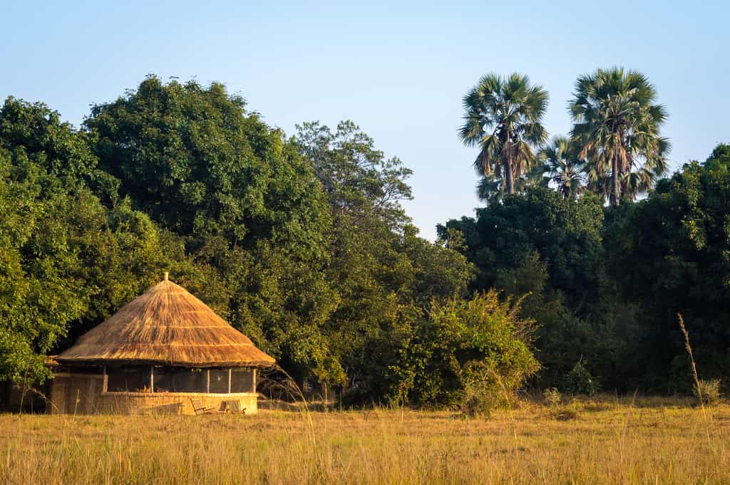 Hut Exterior