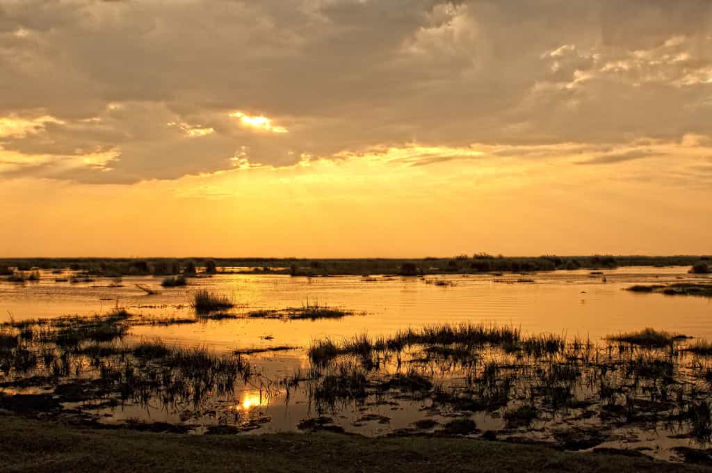 Sunset at Linyanti
