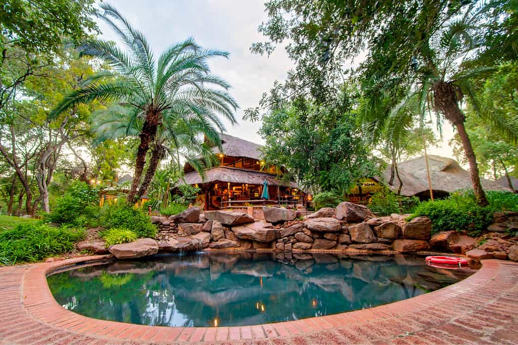 Enjoy a lazy afternoon by the Lokuthula pool side and enjoy a lunch at the Boma