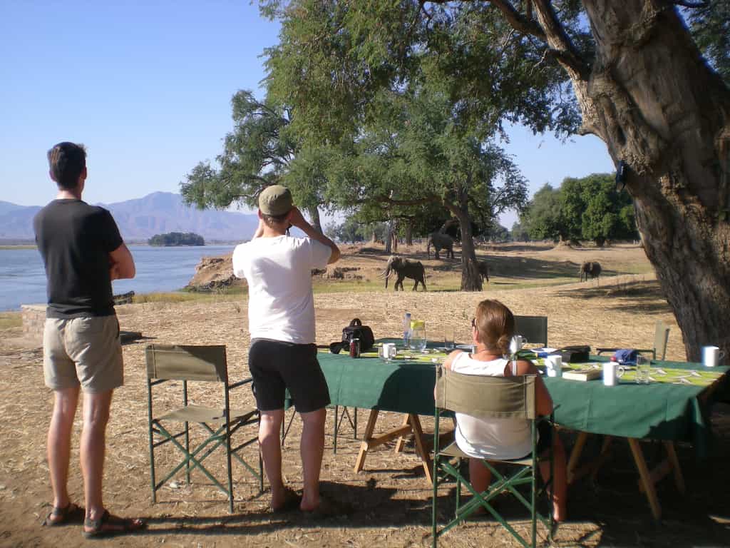 Elephants coming through camp down to the Zambezi for an afternoon drink
