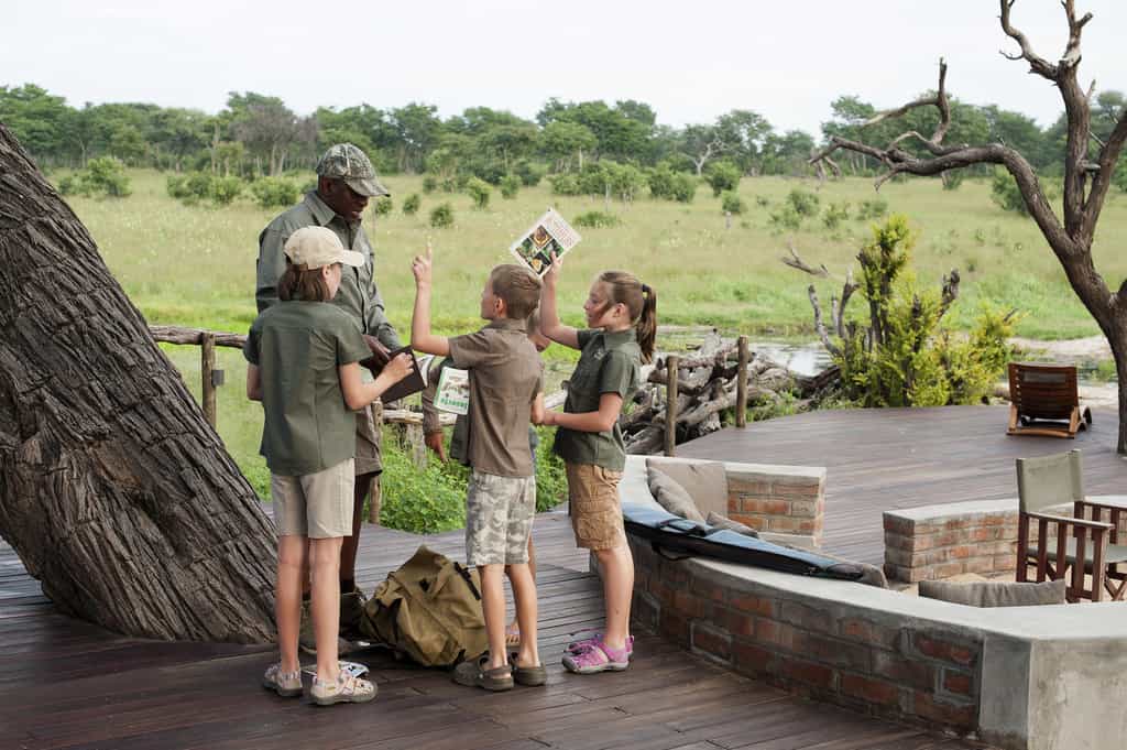 Learning on Safari