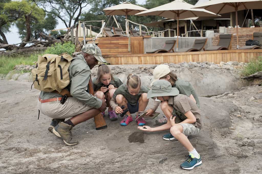 Learning on Safari