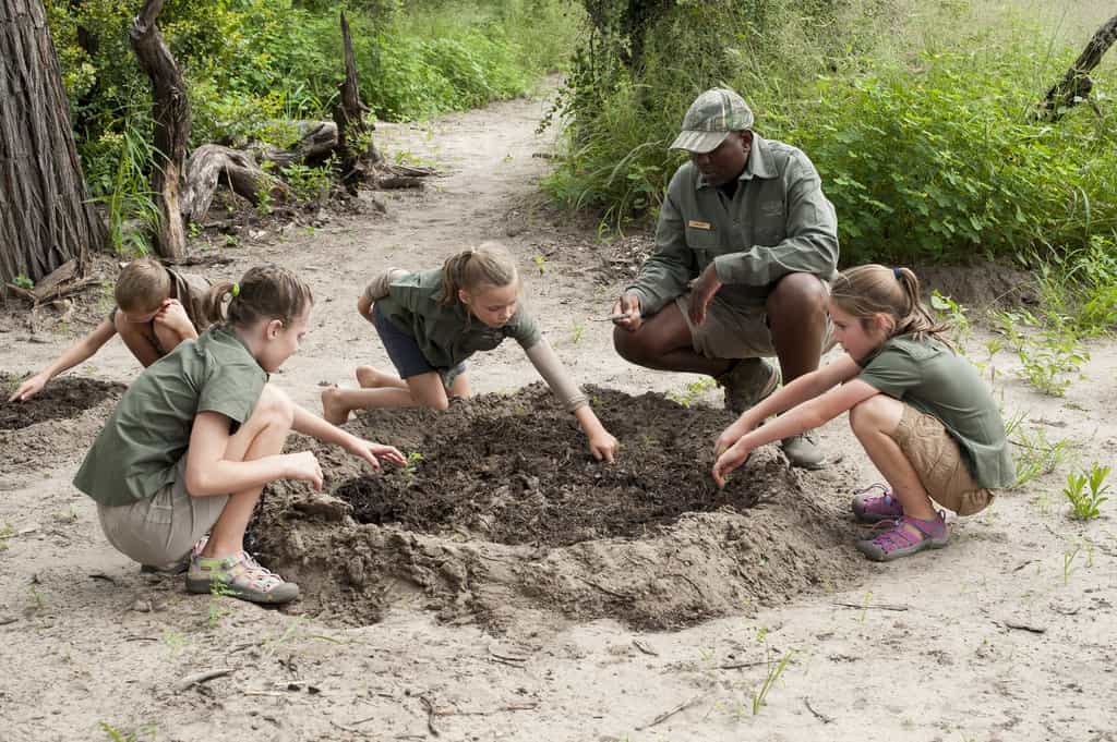 Learning on Safari