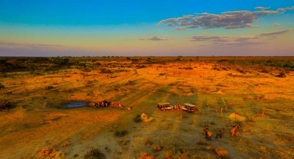 Sunset game drive 