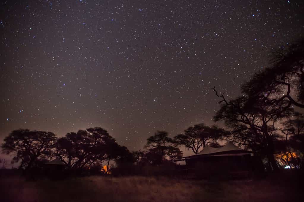 Star gazing at night