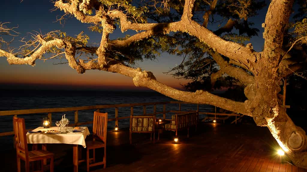 Dining Option