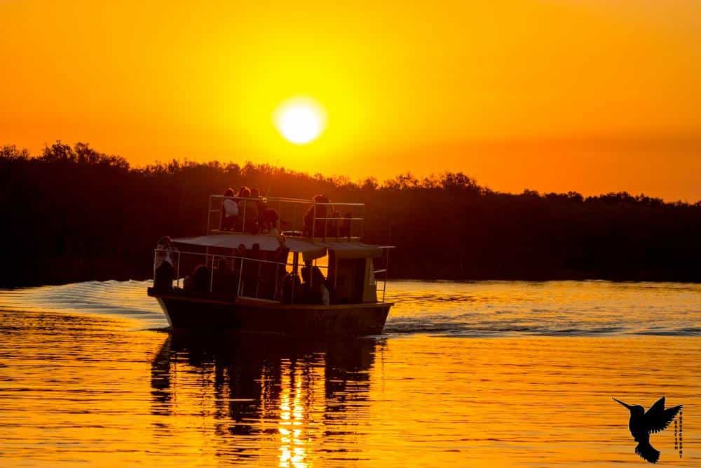 2 hour cruise overlooking hippos and crocs