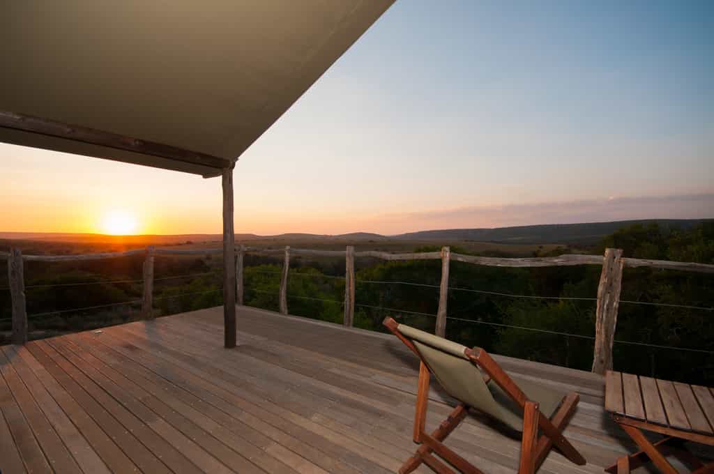 Panoramic Views of the African Plains