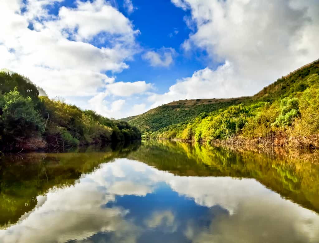 Cruises on the Bushmen's River