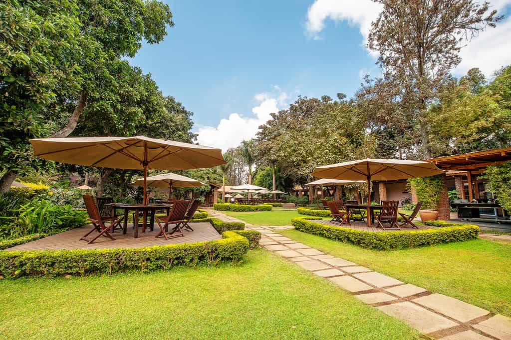 Landscaped gardens 